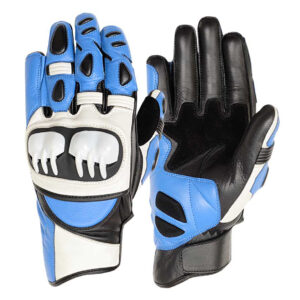 Motorbike Gloves