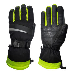 Ski Gloves